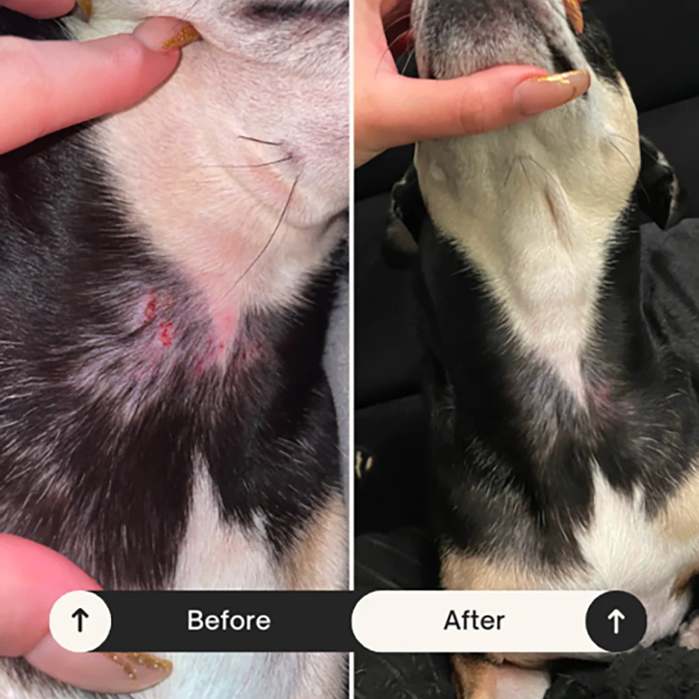Allergy Relief - Image 4